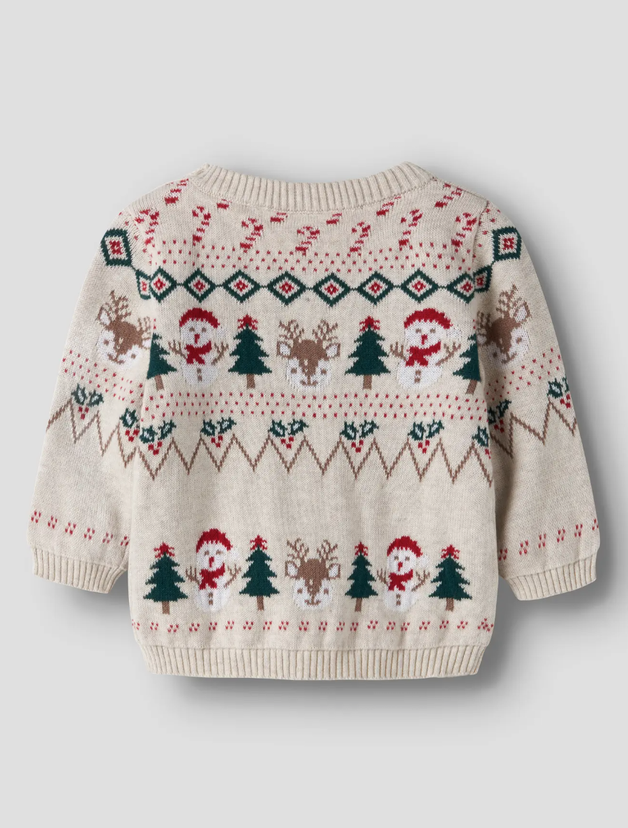 Bio-Baumwoll Weihnachts Pullover